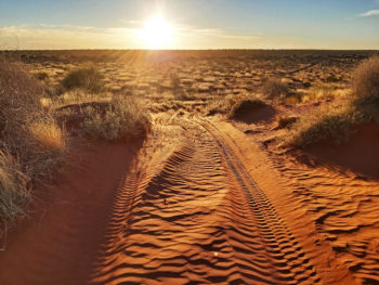 Simpson Desert sunrise - the Madigan Line