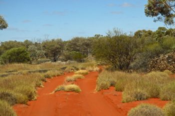 Anne Beadell Highway