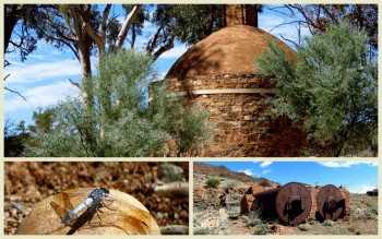 Tag Along Tours Northern Flinders Ranges Arkaroola