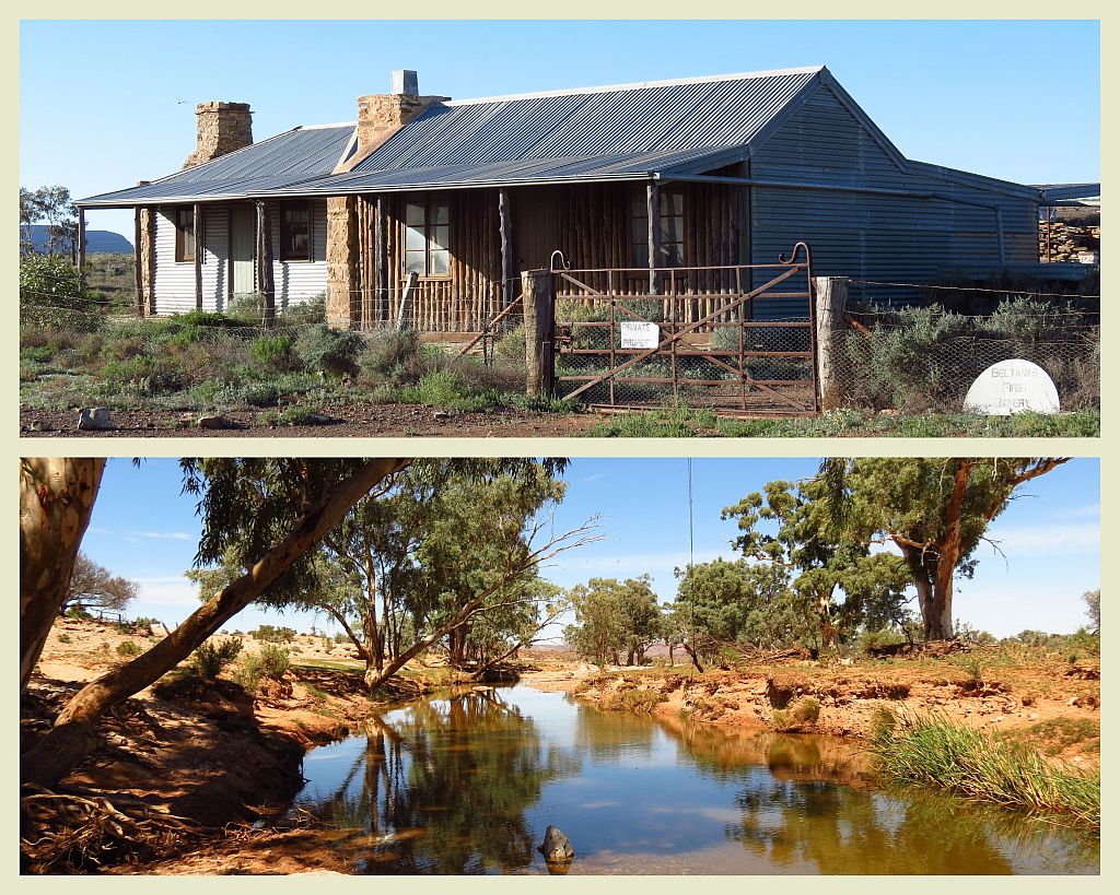 Tag Along Tours Beltana Station Flinders Ranges 4WD Adventures Beltana and Puttapa Springs