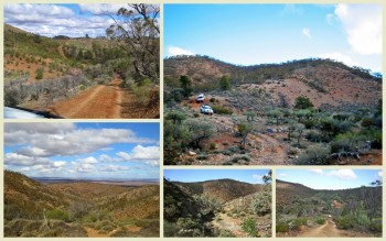 Tag Along Tours Bendleby Ranges