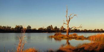 Birdsville Billabong - Pindan Tours and 4WD Training