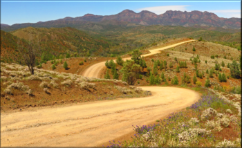 Flinders Ranges Tour