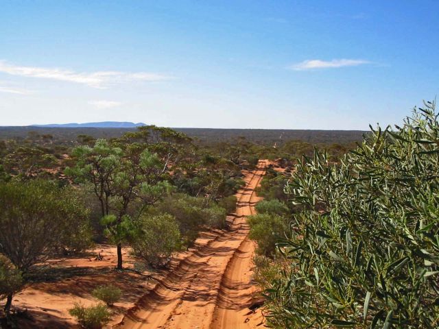Tag Along Tours Googs Track 4WD Adventures Tag Along Tours Googs Track 4WD Adventures