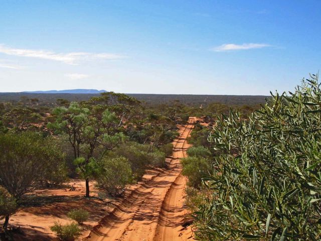 Tag Along Tours Googs Track 4WD Adventures