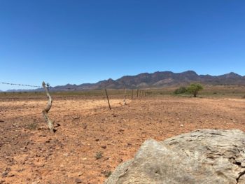 The majestic Flinders Ranges