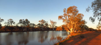 A great campsite at Eringa Waterhole