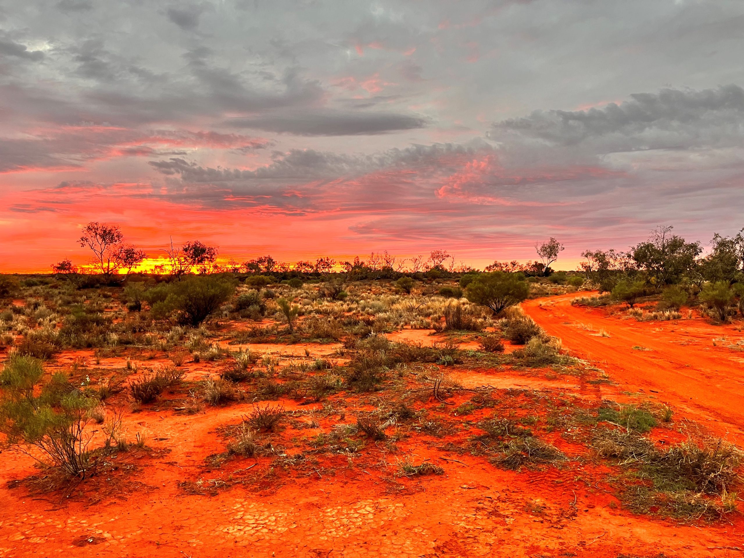 Madigan sunrise Spectacular desert sunrises!