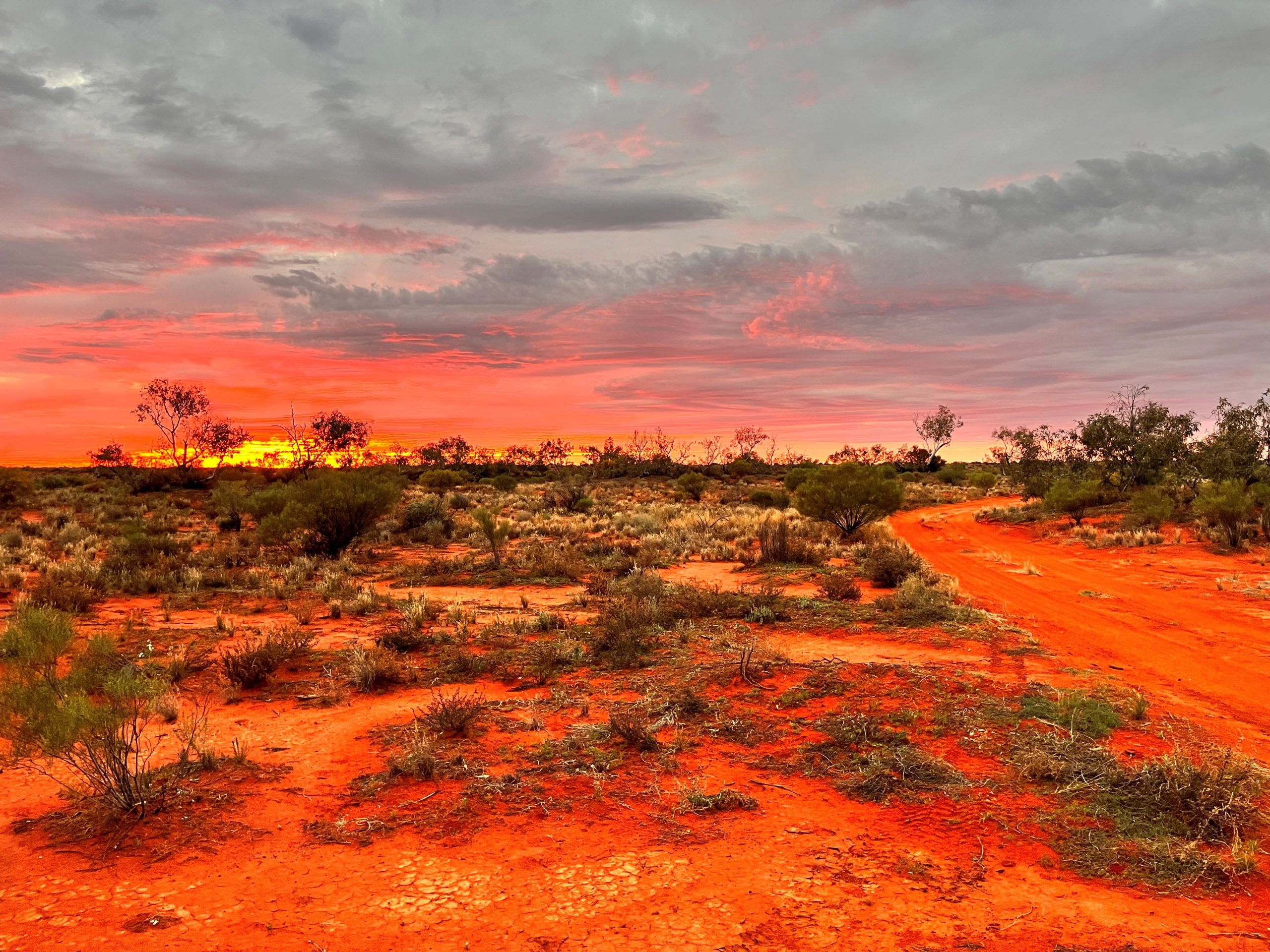 Spectacular desert sunrises!