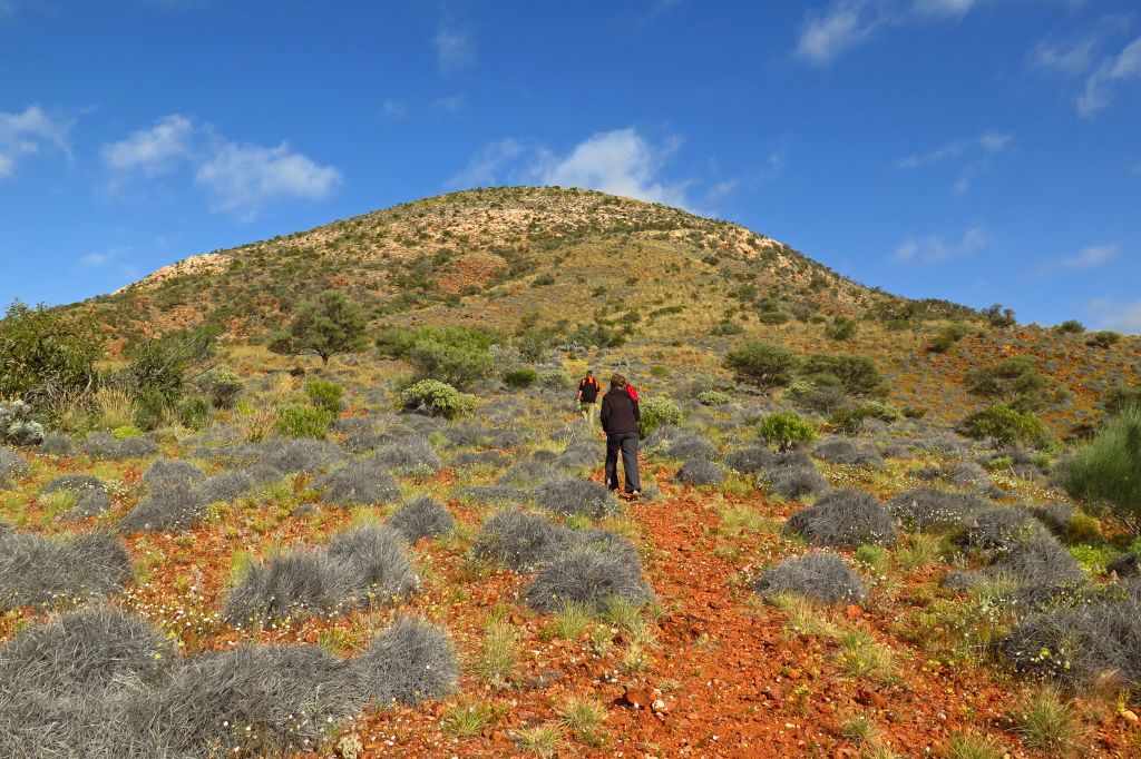 Mt Finke Walk FB Pindan Tours - Mt Finke Walk