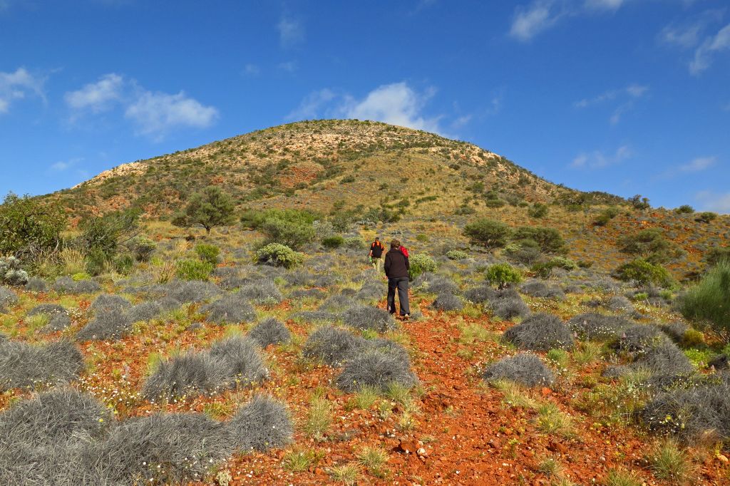 Pindan Tours - Mt Finke Walk