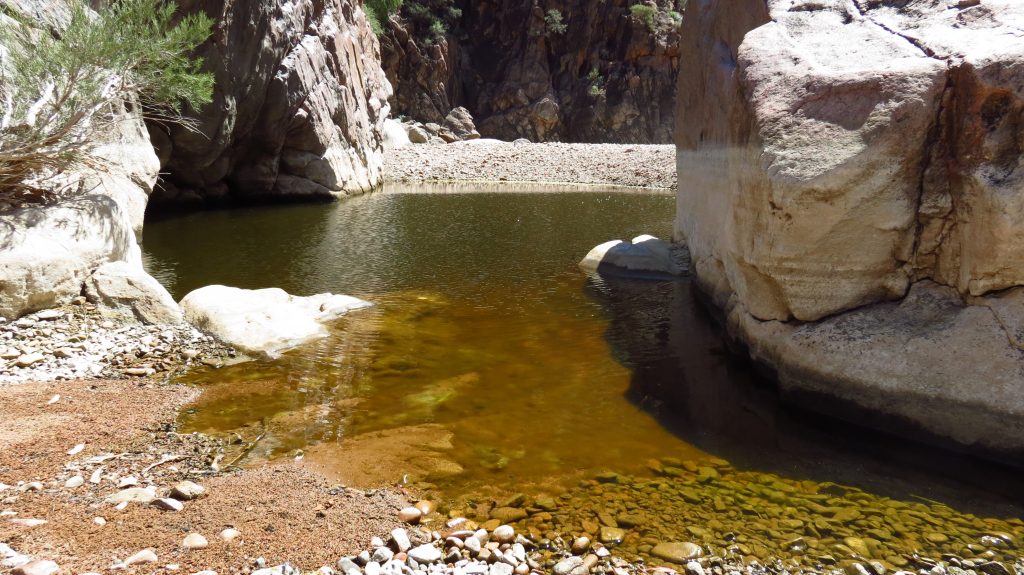 Nooldoonooldoona Waterhole. Pindan Tours and 4WD Training