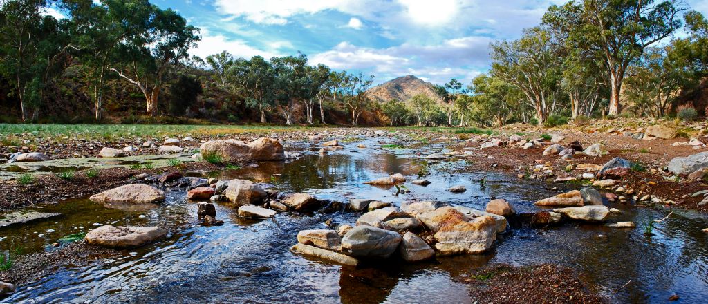 Parachilna Creek Feb 2018 FINAL FB Parachilna Creek Facebook Size