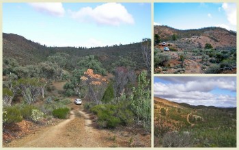 Tag Along Tours Bendleby Ranges