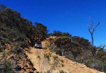 Pindan Tours - Patrol descending