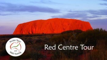 Red Centre Video
