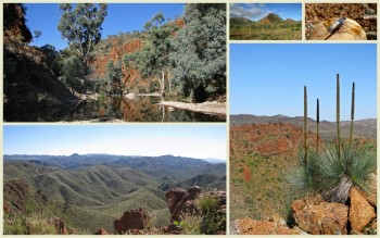 Tag Along Tours Northern Flinders Ranges Arkaroola