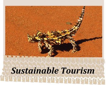 Pindan Tours - Sustainable Tourism Widget