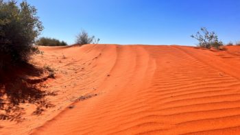 Vibrant desert sands Windswept desert sands
